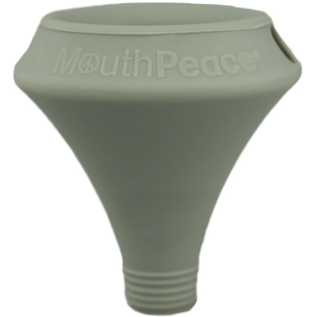 MouthPeace WaterPipe Filter