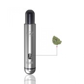 Hamilton Devices - Day Pipe