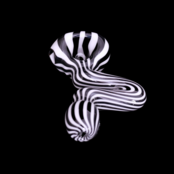 Zenesis Glass Micro Sidewinder Spoon