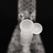 MK Glass Frosted Bee Beaker