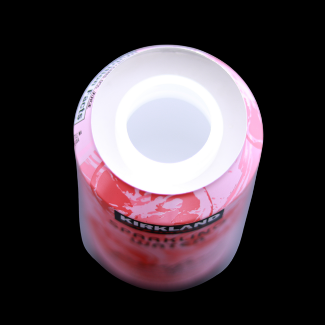 Kirkland Sparkling Water Grapefruit Stash Can