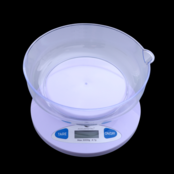 Accudigital Dura Scale