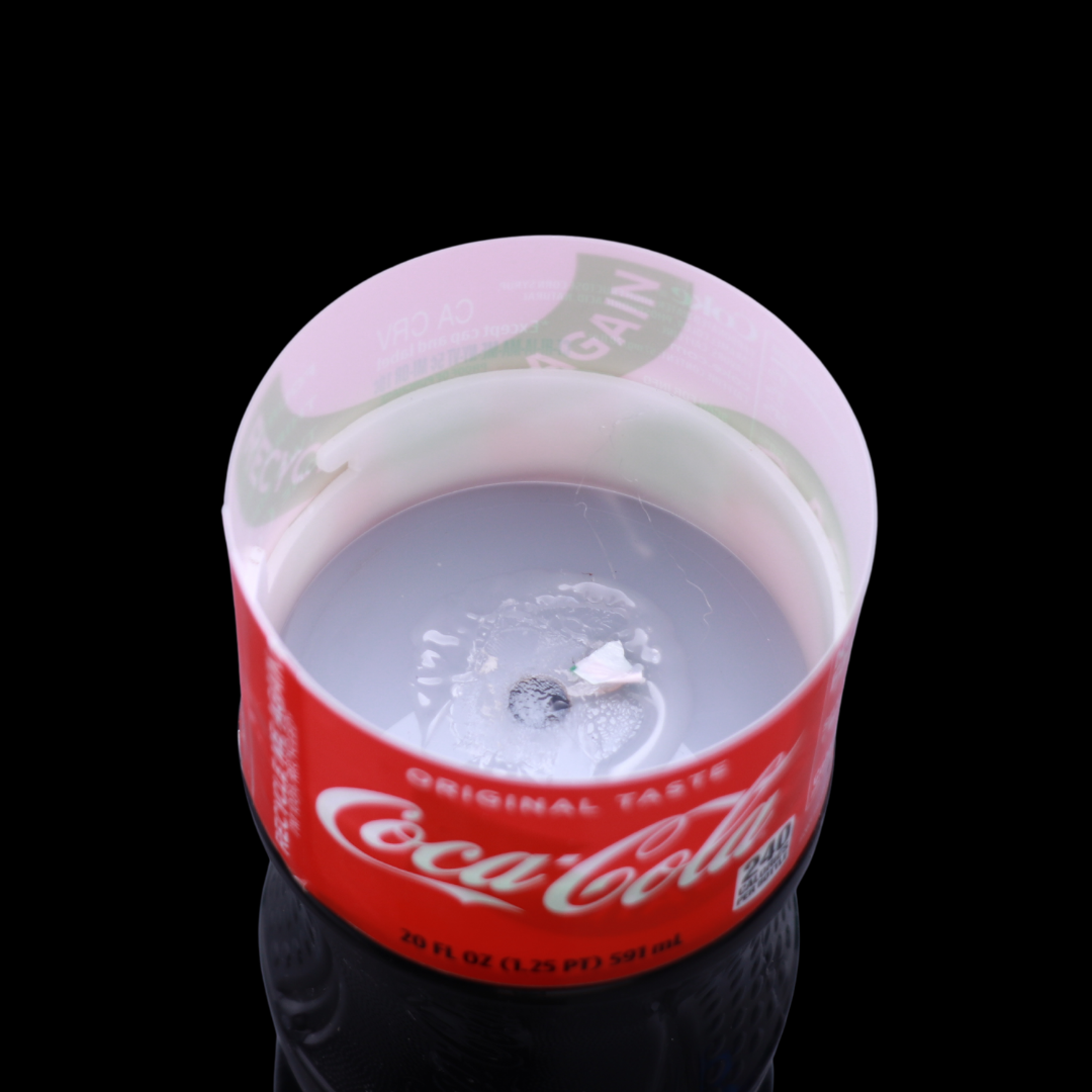 Coca-Cola - 20 fl oz Bottle