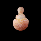 Stone Tech Glass Double Trouble Stone -