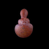 Stone Tech Glass Double Trouble Stone -