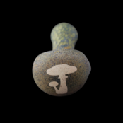 Stone Tech Glass Fossil Stone -