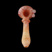 Stone Tech Glass Royale Stone -