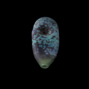 Stone Tech Glass Tablet Stone -