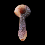 Stone Tech Glass Duality Stone -