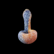 Stone Tech Glass Duality Stone -