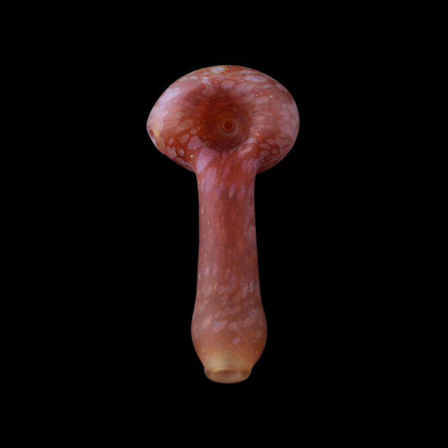 Stone Tech Glass Duality Stone -