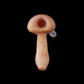 Stone Tech Glass Pocket Lock Stone -