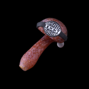 Stone Tech Glass Pocket Lock Stone -