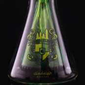 Illadelph 19" Collins Beaker Slime Green