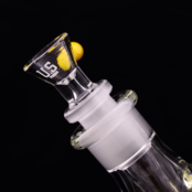 US Tubes Beaker 50x9 20 Inch C