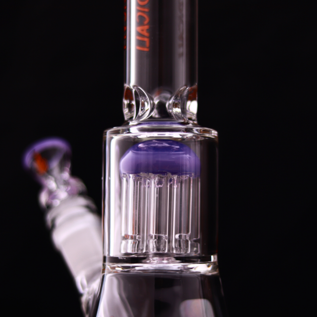 Medicali 10 Inch 8 Tree Beaker