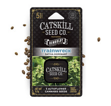 Catskill Seed Co Autoflower (5 Pack)