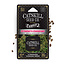 Catskill Seed Co. Catskill Seed Co Feminized (5 Pack)