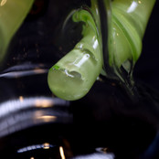 SlugWorth Glass Slug Recycler