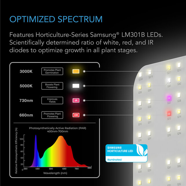 IONBOARD S33, Full Spectrum LED Grow Light 240W, Samsung LM301B, 3x3 Ft. Coverage