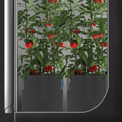 Heavy Duty Fabric Pots, 7 Gallon, 5-Pack