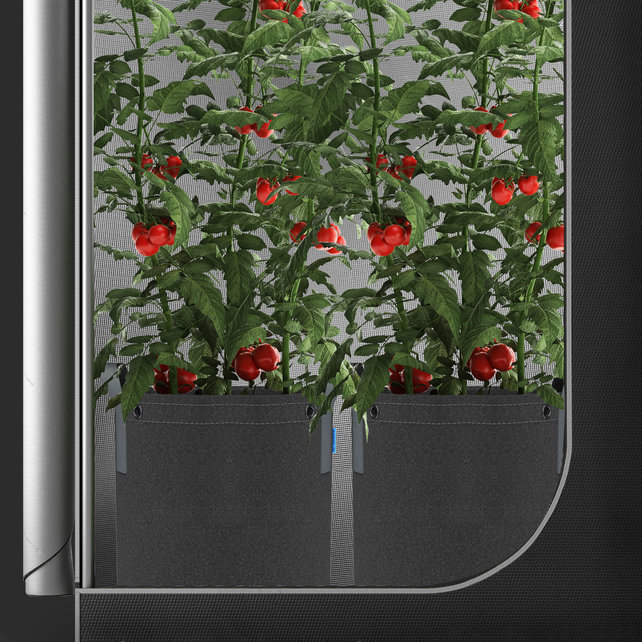 Heavy Duty Fabric Pots, 7 Gallon, 5-Pack