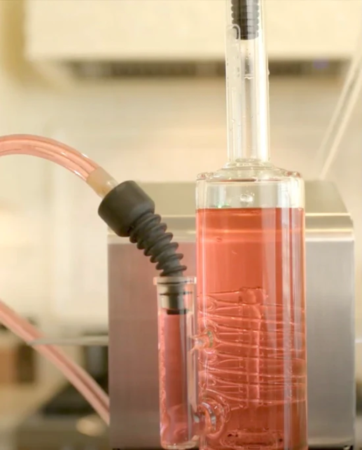 Budzie Rip N' Rinse Machine Cleaner