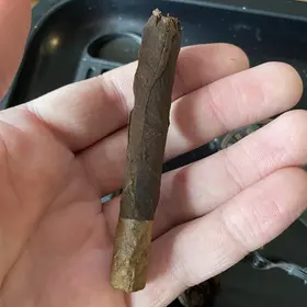 Brothers Broad Leaf X Havana Hybrid Bourbon Barrel Aged Project Midnight 1/1