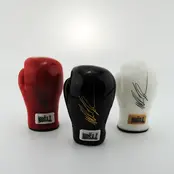 Tyson 2.0 Boxing Glove 5.5" Handpipe