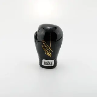 Tyson 2.0 Boxing Glove 5.5" Handpipe