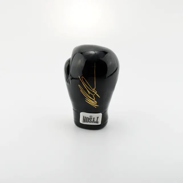 Tyson 2.0 Boxing Glove 5.5" Handpipe