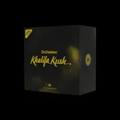 Dr. Dabber XS Concentrate Kit