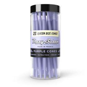 Blazy Susan Purple Cones Queen Size (25 Pack)