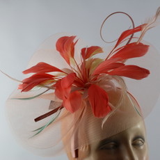 SOMETHING SPECIAL FEATHER FLOWER FASCINATOR