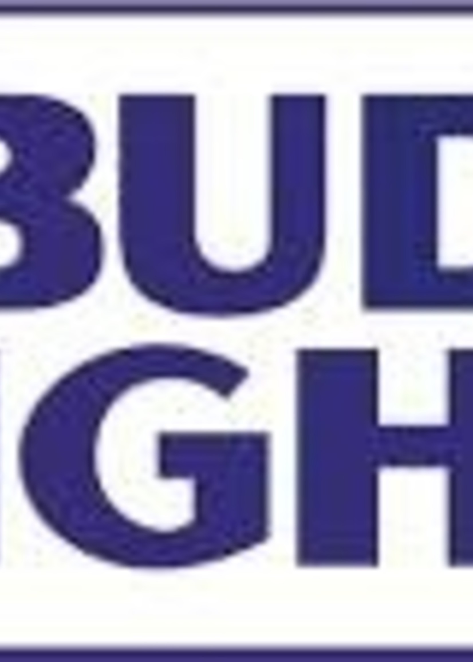 Bud Light Full Keg SE