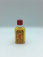 Mini Fireball 50ML