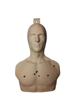 Birchwood Casey Birchwood Casey 3D Torso Target-3 Pack