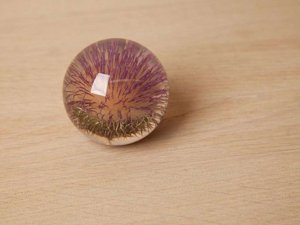 Hafod Grange Paperweight Thistle Paperweight, Small