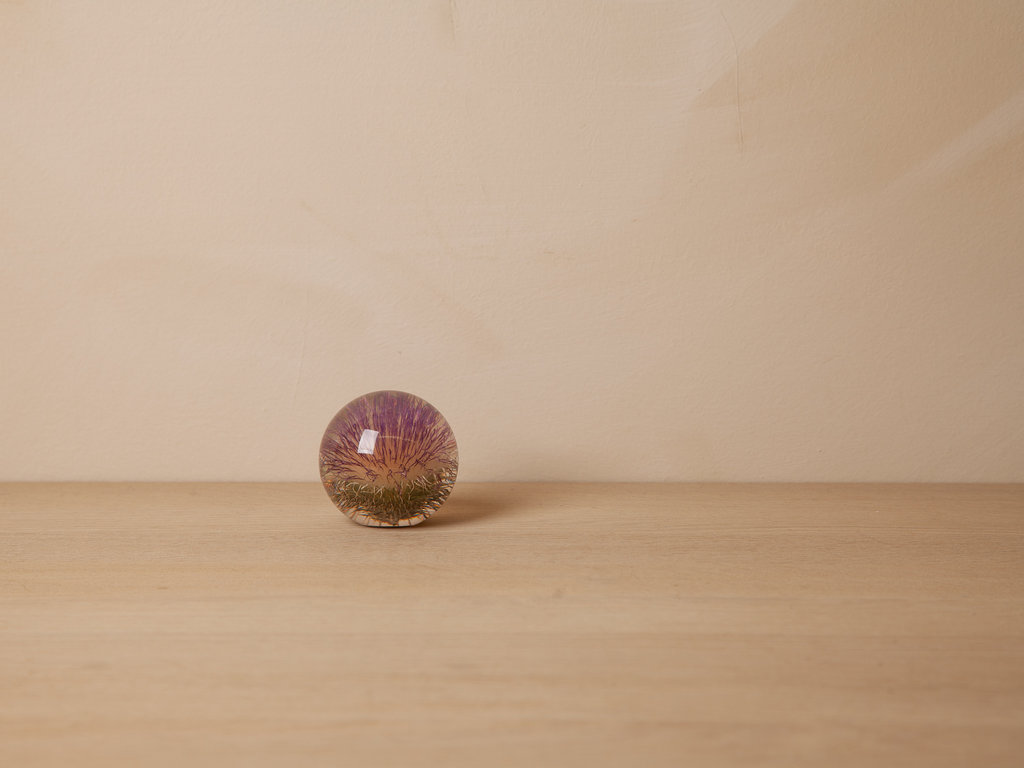 Hafod Grange Paperweight Thistle Paperweight, Small
