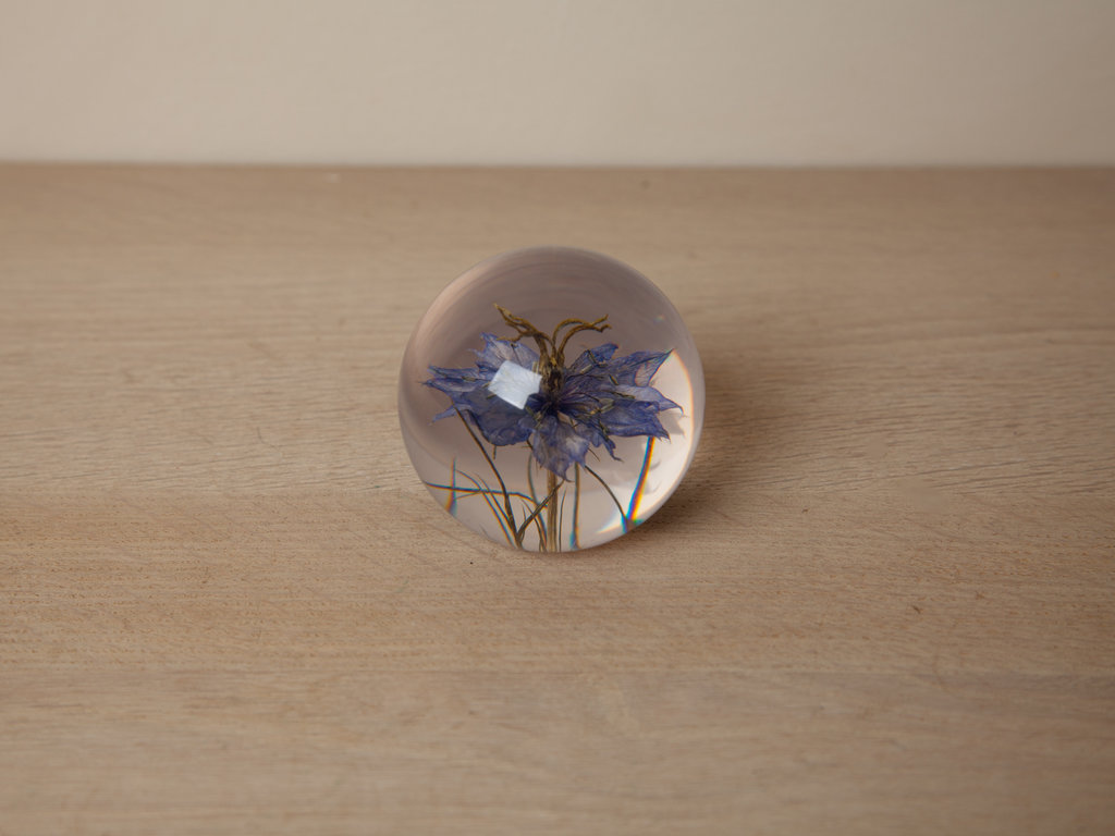 Hafod Grange Paperweight Nigella Paperweight