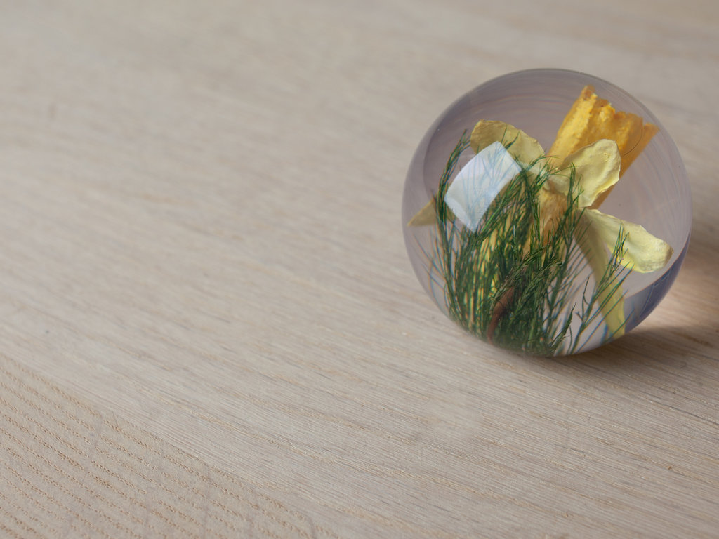 Hafod Grange Paperweight Daffodil Paperweight