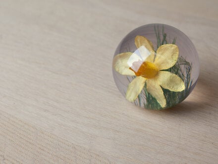 Hafod Grange Paperweight Daffodil Paperweight
