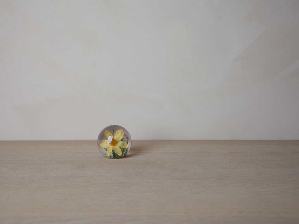 Hafod Grange Paperweight Daffodil Paperweight