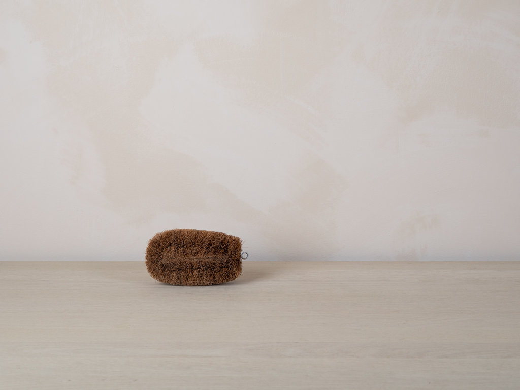 Japanese Palm Cleaning Brush