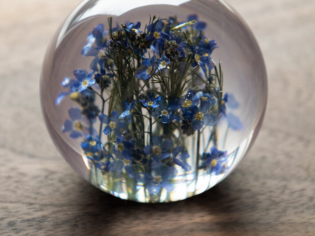 Hafod Grange Paperweight Forget-Me-Not Paperweight
