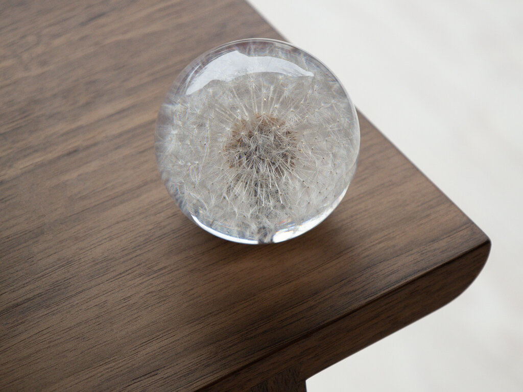 Hafod Grange Paperweight Dandelion Paperweight