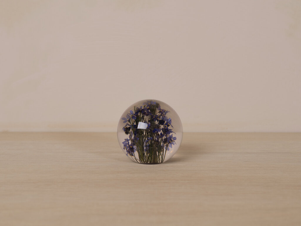 Hafod Grange Paperweight Forget-Me-Not Paperweight