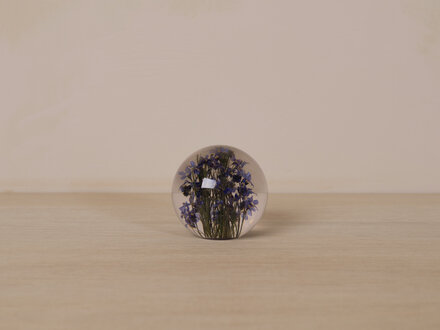 Hafod Grange Paperweight Forget-Me-Not Paperweight