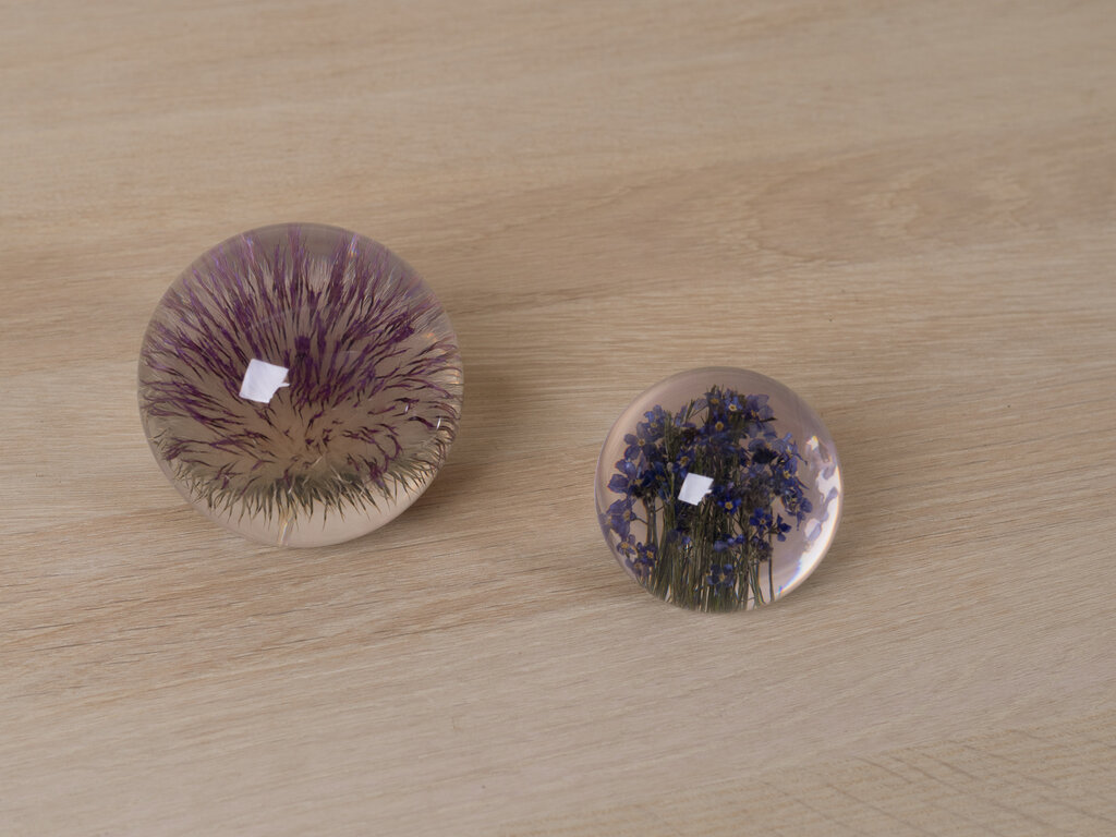 Hafod Grange Paperweight Forget-Me-Not Paperweight