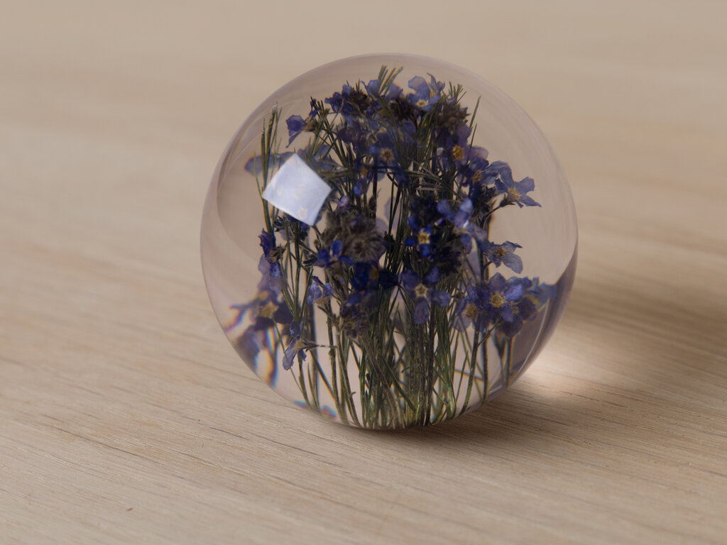 Hafod Grange Paperweight Forget-Me-Not Paperweight